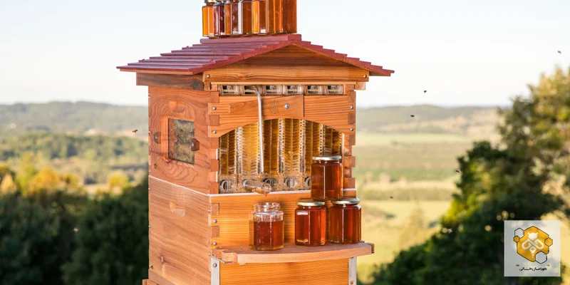 نوآوری در زنبورداری | کندوی فلوهایو