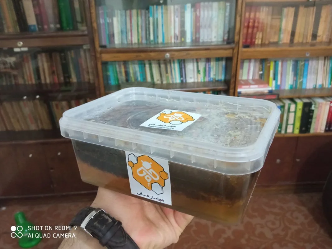 عسل طبیعی گون ـ آویشن کردستان | با موم | 1 کیلوگرم