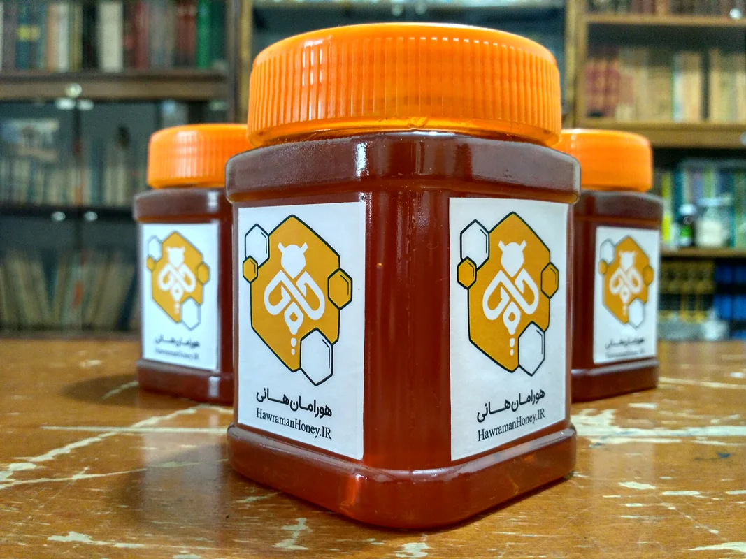 عسل طبیعی گون ـ آویشن کردستان | بدون موم | 500 گرم